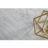 Carrera Nesting Coffee Table in Brushed Gold - Tabletop Detail - Carrera Nesting Coffee Table in Brushed Gold - Tabletop Detail