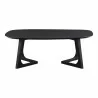 Moe's Home Collection Godenza Coffee Table Small Black Ash - Front Angle - Moe's Home Collection Godenza Coffee Table Small Black Ash - Front Angle