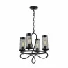 ZEEV Lighting Kenosha Collection Chandelier- Front Angle - ZEEV Lighting Kenosha Collection Chandelier- Front Angle