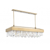 ZEEV Lighting Cuspis Collection Chandelier- Front Angle