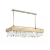 ZEEV Lighting Cuspis Collection Chandelier- Front Angle - ZEEV Lighting Cuspis Collection Chandelier- Front Angle