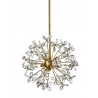 ZEEV Lighting Adelle Collection Chandelier- Front Angle