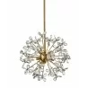ZEEV Lighting Adelle Collection Chandelier- Front Angle - ZEEV Lighting Adelle Collection Chandelier- Front Angle