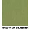 Spectrum Cilantro