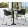 Cane-Line Choice Bar Chair W/Sled Base INDOOR Set - Cane-Line Choice Bar Chair W/Sled Base INDOOR Set