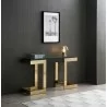 Whiteline Modern Living Sumo Console With 10mm Glass Top In Black And Polished Gold Stainless Base - Lifestyle - Whiteline Modern Living Sumo Console With 10mm Glass Top In Black And Polished Gold Stainless Base - Lifestyle