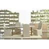 Colette Dining Chair - Bisque - Lifestyle 3 - Colette Dining Chair - Bisque - Lifestyle 3