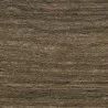Coastal Gray - Coastal Gray