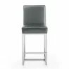 Manhattan Comfort Element 37.2 in. Graphite and Polished Chrome Stainless Steel Counter Height Bar Stool Front - Manhattan Comfort Element 37.2 in. Graphite and Polished Chrome Stainless Steel Counter Height Bar Stool Front