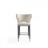 Manhattan Comfort Holguin 37" Counter Stool with Tufted Back Buttons in Cream Front