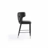 Manhattan Comfort Holguin 37" Counter Stool with Tufted Back Buttons in Grey Side - Manhattan Comfort Holguin 37" Counter Stool with Tufted Back Buttons in Grey Side