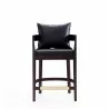 Manhattan Comfort Ritz 34 in. Black and Dark Walnut Beech Wood Counter Height Bar Stool Front - Manhattan Comfort Ritz 34 in. Black and Dark Walnut Beech Wood Counter Height Bar Stool Front