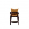 Manhattan Comfort Ritz 34 in. Camel and Dark Walnut Beech Wood Counter Height Bar Stool