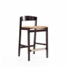 Manhattan Comfort Klismos 36.75 in. Camel and Dark Walnut Beech Wood Counter Height Bar Stool - Manhattan Comfort Klismos 36.75 in. Camel and Dark Walnut Beech Wood Counter Height Bar Stool