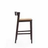 Manhattan Comfort Klismos 36.75 in. Camel and Dark Walnut Beech Wood Counter Height Bar Stool Side - Manhattan Comfort Klismos 36.75 in. Camel and Dark Walnut Beech Wood Counter Height Bar Stool Side