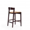 Manhattan Comfort Klismos 36.75 in. Camel and Dark Walnut Beech Wood Counter Height Bar Stool Side