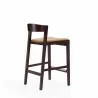 Manhattan Comfort Klismos 36.75 in. Camel and Dark Walnut Beech Wood Counter Height Bar Stool Side - Manhattan Comfort Klismos 36.75 in. Camel and Dark Walnut Beech Wood Counter Height Bar Stool Side