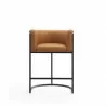 Manhattan Comfort Cosmopolitan 33.8 in. Camel and Black Metal Counter Height Bar Stool Front - Manhattan Comfort Cosmopolitan 33.8 in. Camel and Black Metal Counter Height Bar Stool Front
