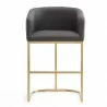 Manhattan Comfort Louvre 36 in. Grey and Titanium Gold Stainless Steel Counter Height Bar Stool Front - Manhattan Comfort Louvre 36 in. Grey and Titanium Gold Stainless Steel Counter Height Bar Stool Front