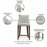 Manhattan Comfort Modern Shubert Counter Stool Upholstered Leatherette with Beech Wood Legs Details  - Manhattan Comfort Modern Shubert Counter Stool Upholstered Leatherette with Beech Wood Legs Details 