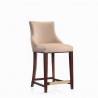 Manhattan Comfort Modern Shubert Counter Stool Upholstered Leatherette with Beech Wood Legs Tan Front