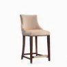 Manhattan Comfort Modern Shubert Counter Stool Upholstered Leatherette with Beech Wood Legs Tan Front - Manhattan Comfort Modern Shubert Counter Stool Upholstered Leatherette with Beech Wood Legs Tan Front