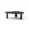 Small Coffee Table in Black-full view 2 - Small Coffee Table in Black-full view 2