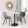 Daniel Dining Chair in Gray - Lifestyle