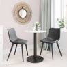 Daniel Dining Chair in Vintage Black - Lifestyle 2