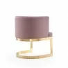Manhattan Comfort Aura Blush and Polished Brass Velvet Dining Chair - Manhattan Comfort Aura Blush and Polished Brass Velvet Dining Chair