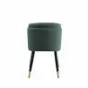 Manhattan Comfort Zephyr Velvet Dining Chair Green Back - Manhattan Comfort Zephyr Velvet Dining Chair Green Back