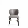 Manhattan Comfort Modern Strine Dining Chair Upholstered in Velvet and Leatherette with Solid Wood Legs in Dark Taupe Front - Manhattan Comfort Modern Strine Dining Chair Upholstered in Velvet and Leatherette with Solid Wood Legs in Dark Taupe Front
