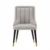Manhattan Comfort Modern Eda Velvet and Leatherette Dining Chair In Grey Front - Manhattan Comfort Modern Eda Velvet and Leatherette Dining Chair In Grey Front