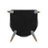 Manhattan Comfort Modern Neda Velvet Dining Chair In Grey Bottom
