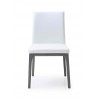 Whiteline Modern Living Stella Dining Chair in Grey and White - Front