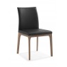 Whiteline Modern Living Stella Dining Chair in Walnut and Black - Angled