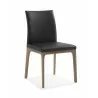 Whiteline Modern Living Stella Dining Chair in Walnut and Black - Angled - Whiteline Modern Living Stella Dining Chair in Walnut and Black - Angled