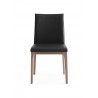 Whiteline Modern Living Stella Dining Chair in Walnut and Black - Front