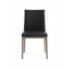 Whiteline Modern Living Stella Dining Chair in Walnut and Black - Front - Whiteline Modern Living Stella Dining Chair in Walnut and Black - Front