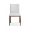 Whiteline Modern Living Stella Dining Chair in Walnut and White - Front