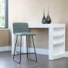 Sunpan Jovanah Counter Stool in Aosta Jade - Set of Two - Lifestyle - Sunpan Jovanah Counter Stool in Aosta Jade - Set of Two - Lifestyle