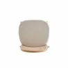 Manhattan Comfort Paragon Dining Chair 1.0 with Cream Cushions in Nature and Cane Top - Manhattan Comfort Paragon Dining Chair 1.0 with Cream Cushions in Nature and Cane Top