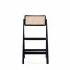 Manhattan Comfort Pullman Folding Dining Chair in Black and Natural Cane Front - Manhattan Comfort Pullman Folding Dining Chair in Black and Natural Cane Front