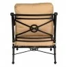 Woodard Delphi Delphi Lounge Chair - Back - Woodard Delphi Delphi Lounge Chair - Back