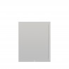 TrueFlame Replacement Door for 24S-R & 24D-R