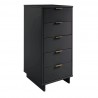 Manhattan Comfort Granville Tall 23.62" Modern Narrow Dresser with 5 Full Extension Drawers in Black Side