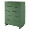 Manhattan Comfort Granville 45.27" Modern Tall Dresser with 5 Full Extension Drawers in Sage Green Side - Manhattan Comfort Granville 45.27" Modern Tall Dresser with 5 Full Extension Drawers in Sage Green Side