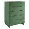 Manhattan Comfort Granville 45.27" Modern Tall Dresser with 5 Full Extension Drawers in Sage Green Other Side - Manhattan Comfort Granville 45.27" Modern Tall Dresser with 5 Full Extension Drawers in Sage Green Other Side