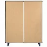 Manhattan Comfort Granville 45.27" Modern Tall Dresser with 5 Full Extension Drawers in Midnight Blue Back - Manhattan Comfort Granville 45.27" Modern Tall Dresser with 5 Full Extension Drawers in Midnight Blue Back