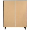 Manhattan Comfort Granville 45.27" Modern Tall Dresser with 5 Full Extension Drawers in Dark Grey Back - Manhattan Comfort Granville 45.27" Modern Tall Dresser with 5 Full Extension Drawers in Dark Grey Back